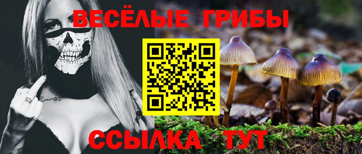 Вязьма  Псилоцибиновые грибы мухоморы  Вход с VPN 